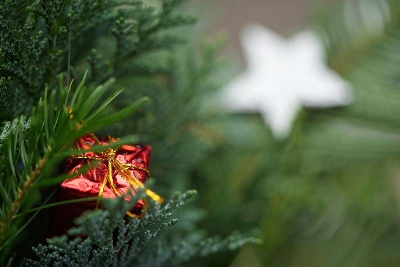 Green Gifting Inspiration