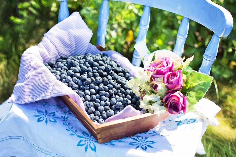 DIY Eco-Friendly Gift Baskets